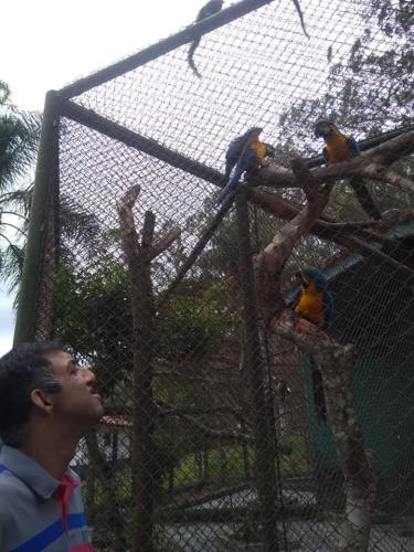 Clube de campo de São Paulo