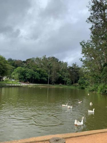 Clube de campo de São Paulo