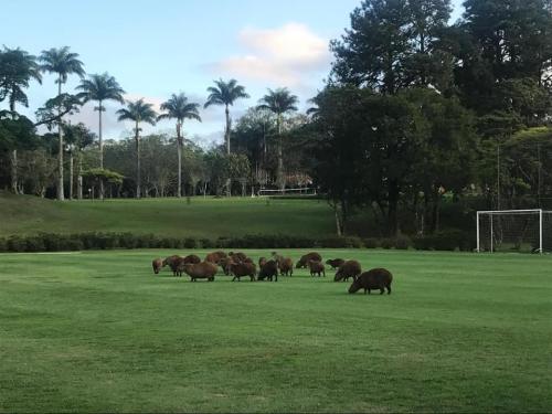 Clube de campo de São Paulo
