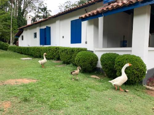 Clube de campo de São Paulo