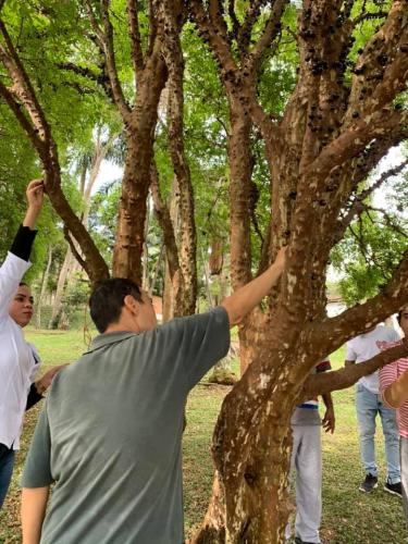 Clube de campo de São Paulo