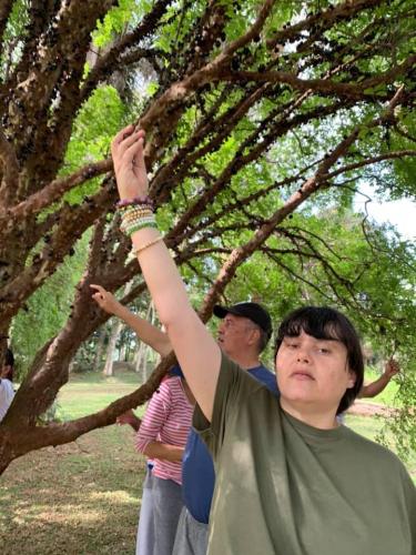 Clube de campo de São Paulo