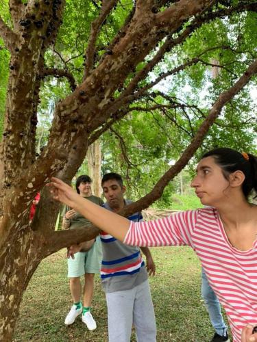 Clube de campo de São Paulo