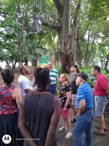 Museu da Casa Brasileira