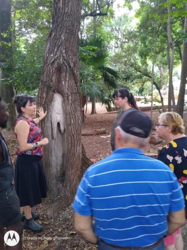 Museu da Casa Brasileira