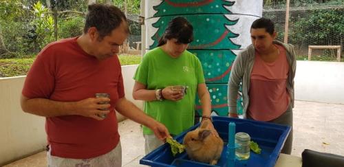 Oficinas Ocupacionais