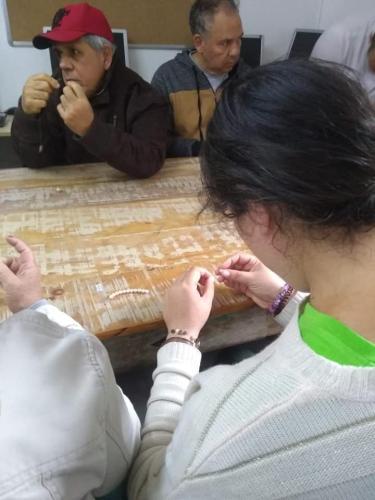 Oficinas Ocupacionais