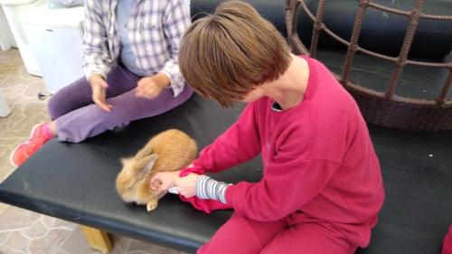 Oficinas Ocupacionais