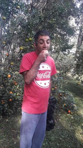 Passear Embelezar Papear Cantar