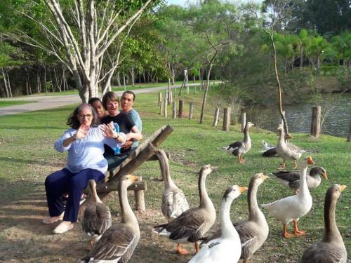 Passear Embelezar Papear Cantar