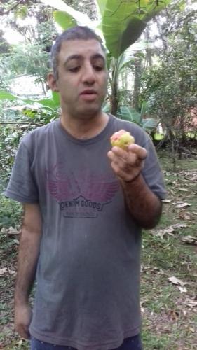 Passear Embelezar Papear Cantar